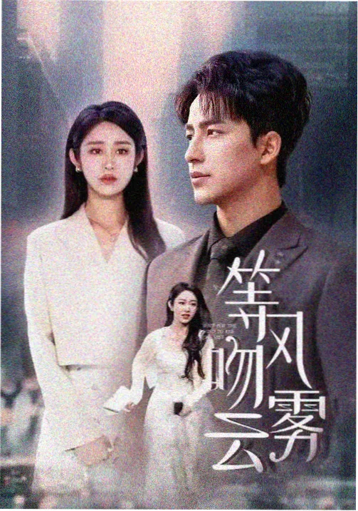汉江以南的咖啡馆 韩剧封面
